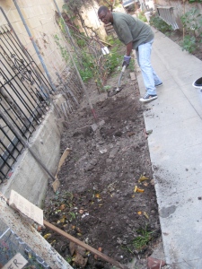 Jonas finishes this compost pit with a  layer of soil.